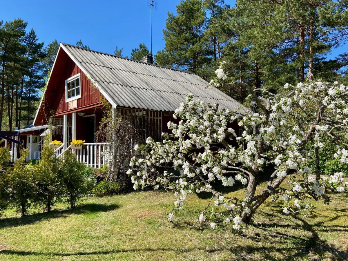 Nova Madise Guesthouse Rannaküla Exteriér fotografie